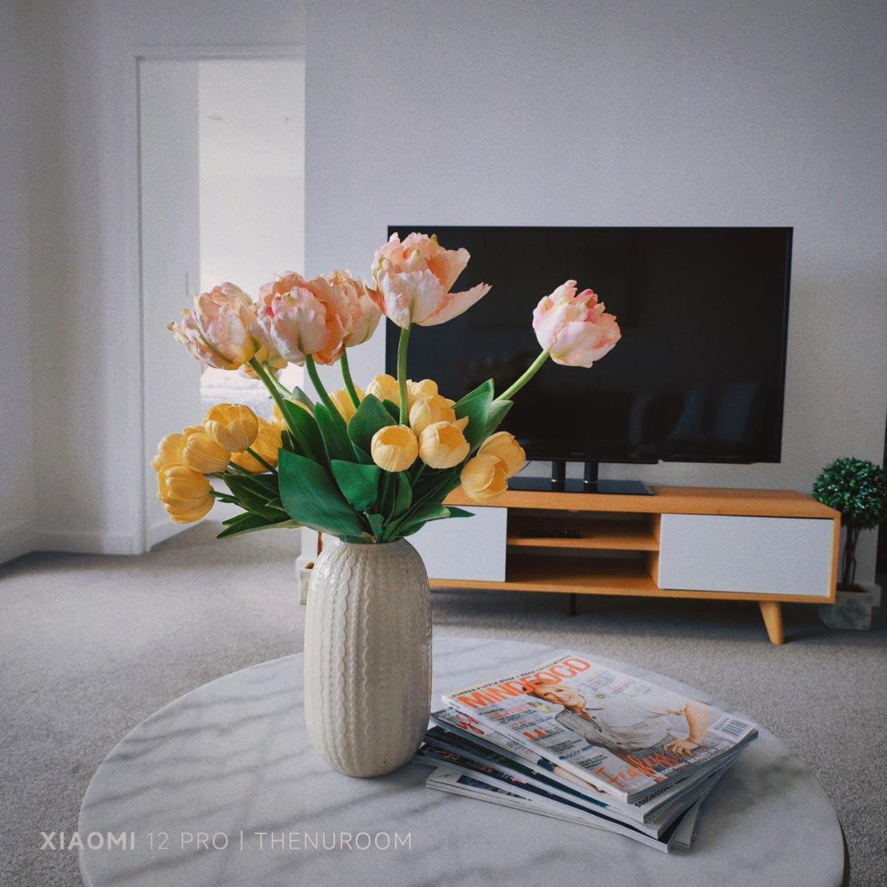 Auckland Birkenhead Bnb Екстер'єр фото